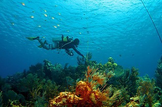 Solo diver ascends a line through blue water above a coral reef, trailed by schooling fish