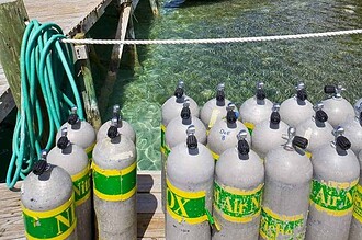 Rows of scuba tanks marked with green and yellow nitrox bands lined up on a dive dock