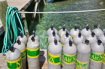 Rows of scuba tanks marked with green and yellow nitrox bands lined up on a dive dock