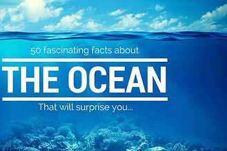 Coral reef seen from underwater with text promising 50 fascinating ocean facts