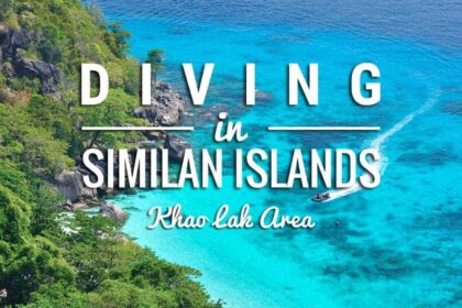 Aerial view of a forested Similan island surrounded by turquoise water, with a speedboat cutting a wake
