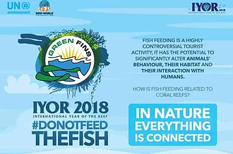 Green Fins #DoNotFeedTheFish campaign graphic warns that feeding fish disrupts reef behavior