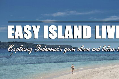 Person walking along a white sand beach beside turquoise water in Indonesia