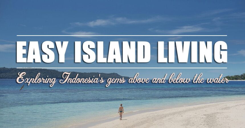 Person walking along a white sand beach beside turquoise water in Indonesia