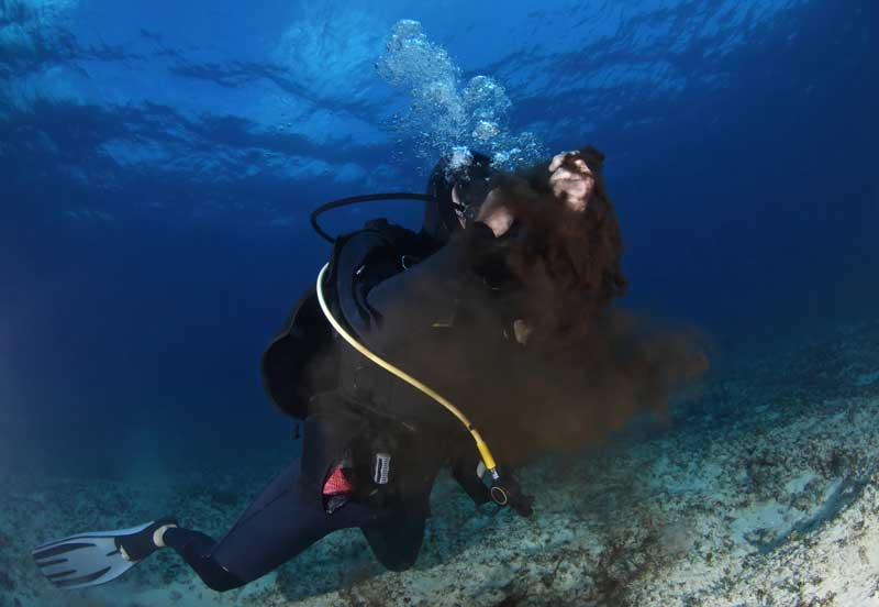 Diver hovering beside an octopus releasing a defensive cloud of ink