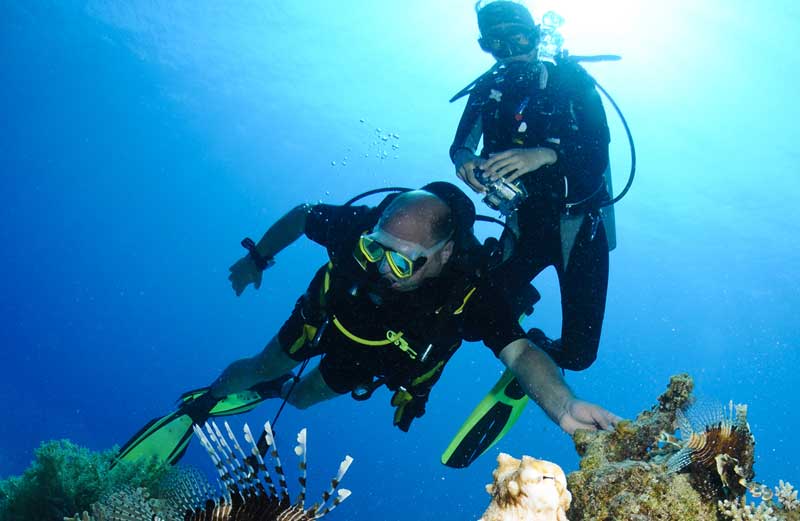 Diver reaching toward a coral reef while a second diver photographs nearby