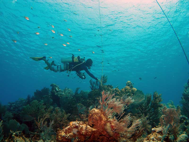 Solo diver finning along a guideline above a shallow coral reef in blue water