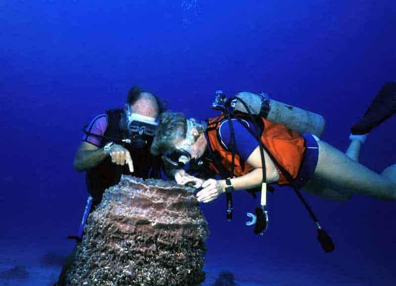 Two divers hovering close to a large barrel sponge, one pointing without touching it
