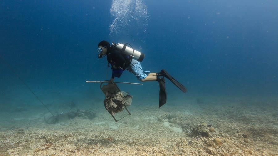 Diver collecting plastic waste in a mesh bag during an underwater reef cleanup