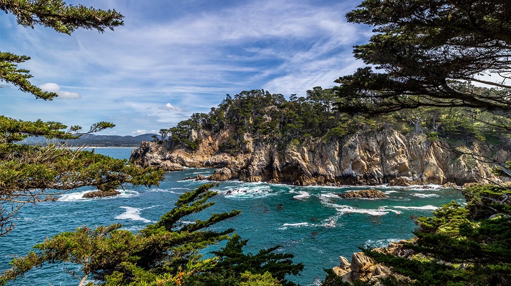 Cypress-framed cliffs above the turquoise kelp beds of Whalers Cove on the California coast