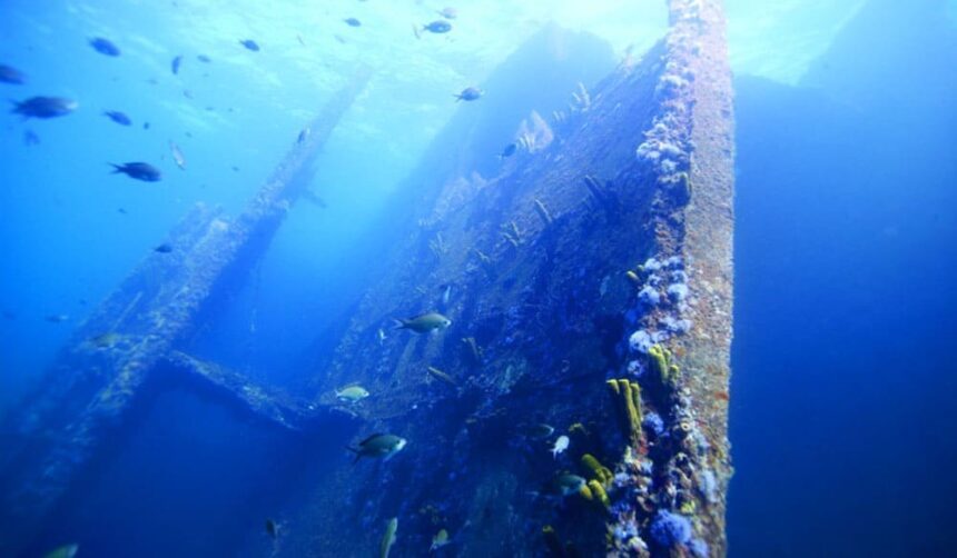 Steel wreck structure crusted with yellow and blue sponges as small fish circle in blue water off Aruba