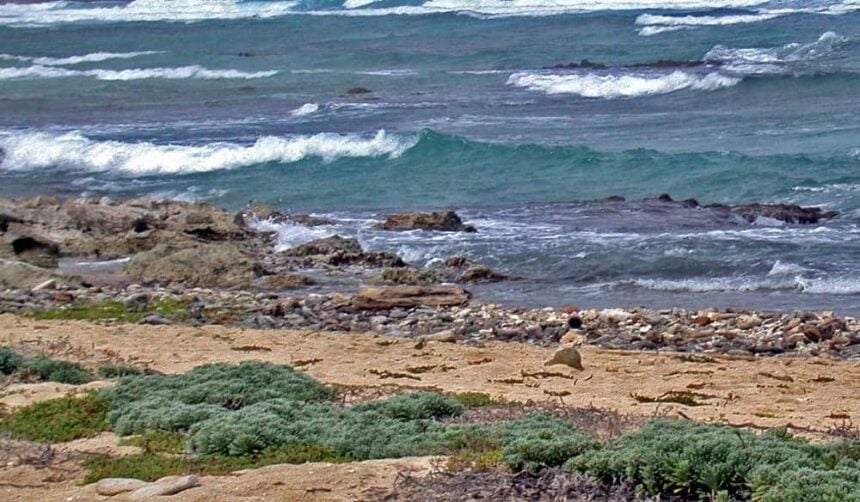 Waves rolling onto a rocky shore backed by low green scrub at Pet Cemetery in Aruba