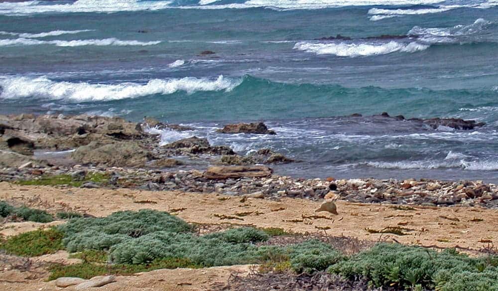Waves rolling onto a rocky shore backed by low green scrub at Pet Cemetery in Aruba
