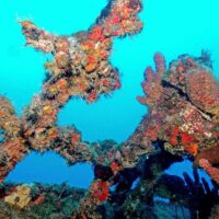 Encrusted shipwreck structure covered in orange and red sponge growth rising into blue water