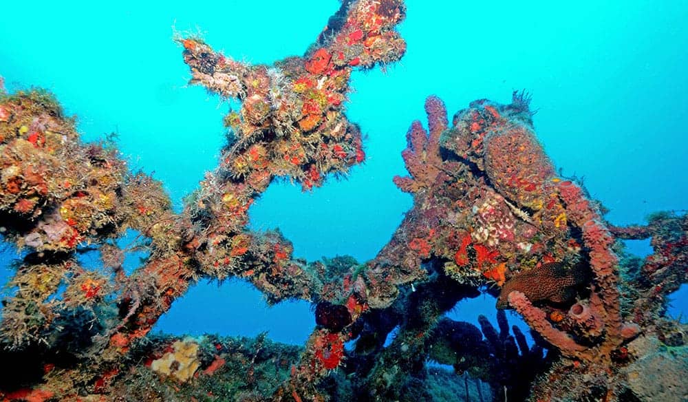 Encrusted shipwreck structure covered in orange and red sponge growth rising into blue water