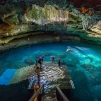 Wooden platform and stairs leading into a clear blue cavern spring with roots hanging from the rock ceiling