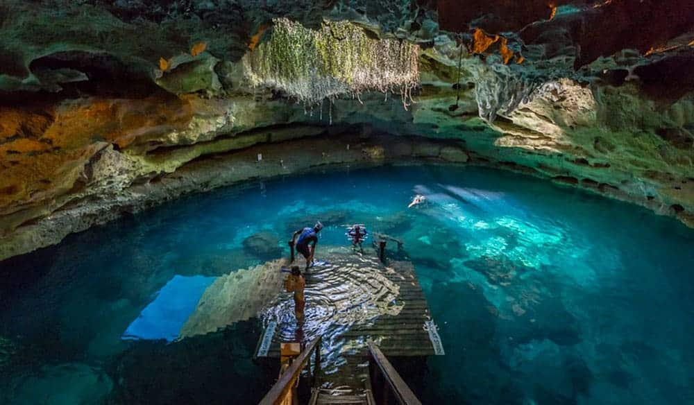 Wooden platform and stairs leading into a clear blue cavern spring with roots hanging from the rock ceiling