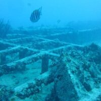 Collapsed metal framework of the Cayman Salvager wreck on a sandy bottom with a sergeant major fish above