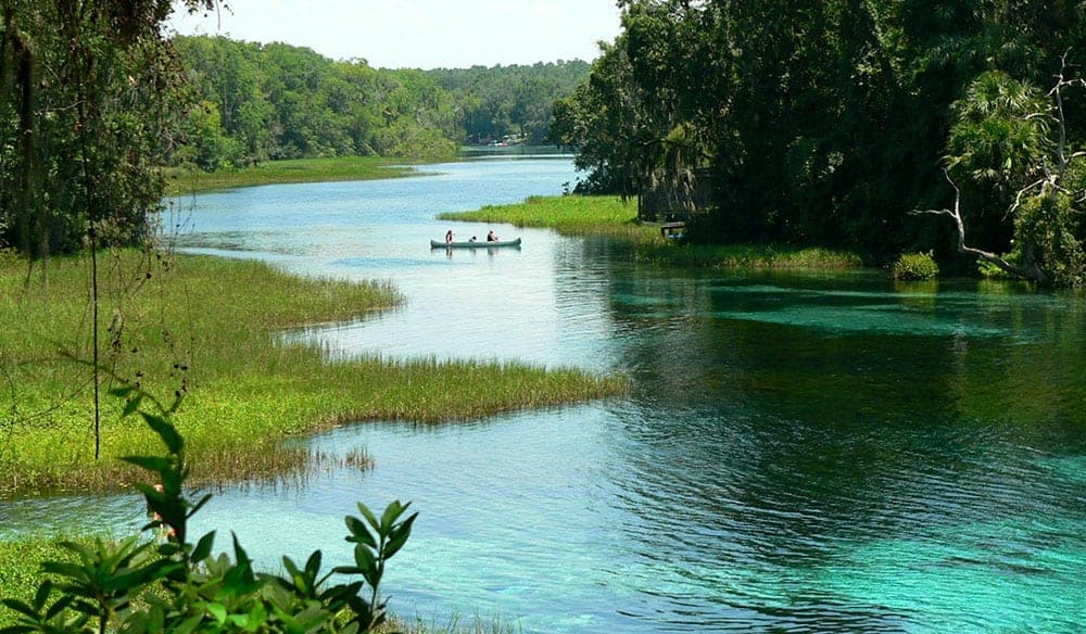 Canoeists paddling the clear turquoise water of Florida's Rainbow River between grassy banks and forest