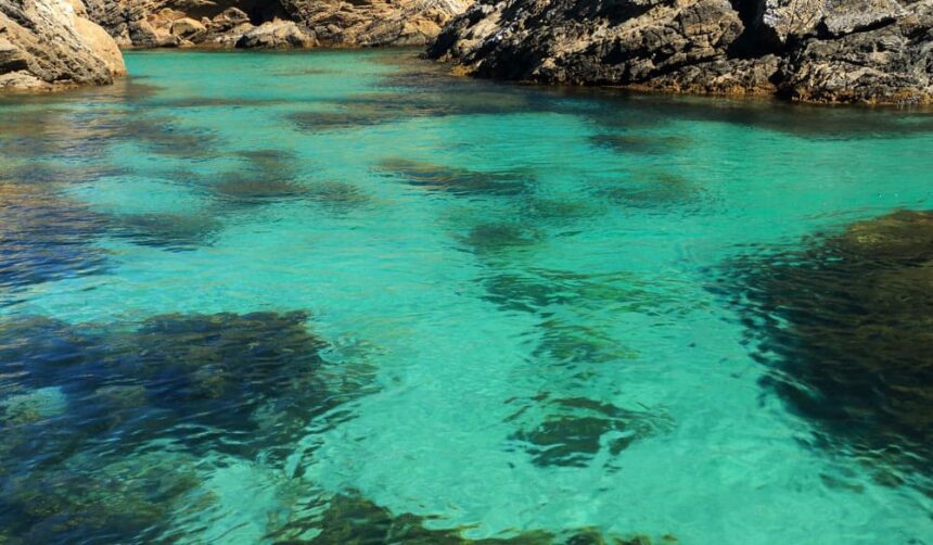 Shallow turquoise water over rock and seagrass patches in a sheltered rocky cove at La Piscine, Guadeloupe