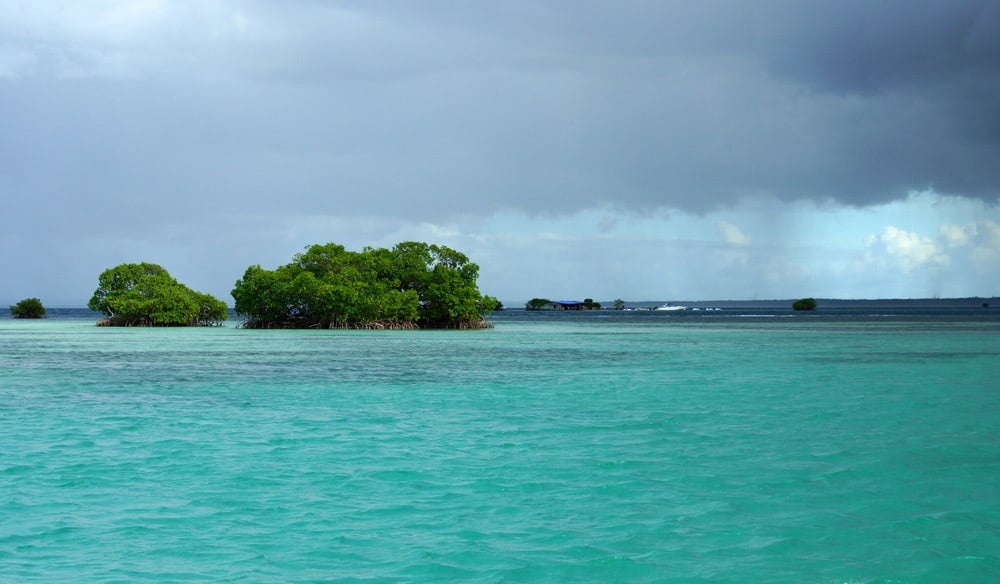 Mangrove islets in shallow turquoise water under a heavy storm sky at Grand Cul-de-Sac Marin, Guadeloupe
