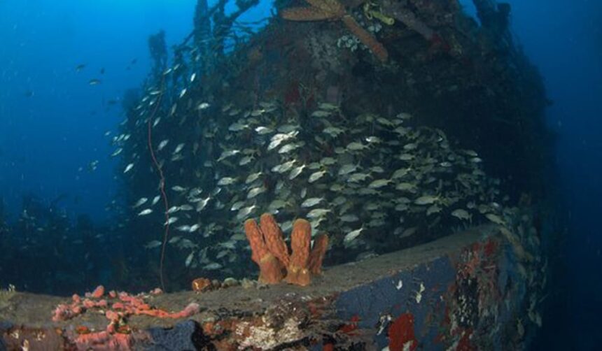 Shipwreck hull crusted with sponges and surrounded by a dense school of silvery fish in Guadeloupe