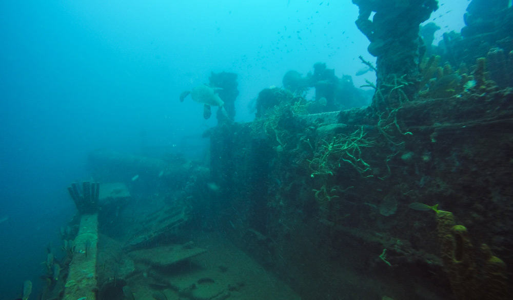 Diver swimming along the encrusted deck rail of the Franjack wreck in Guadeloupe