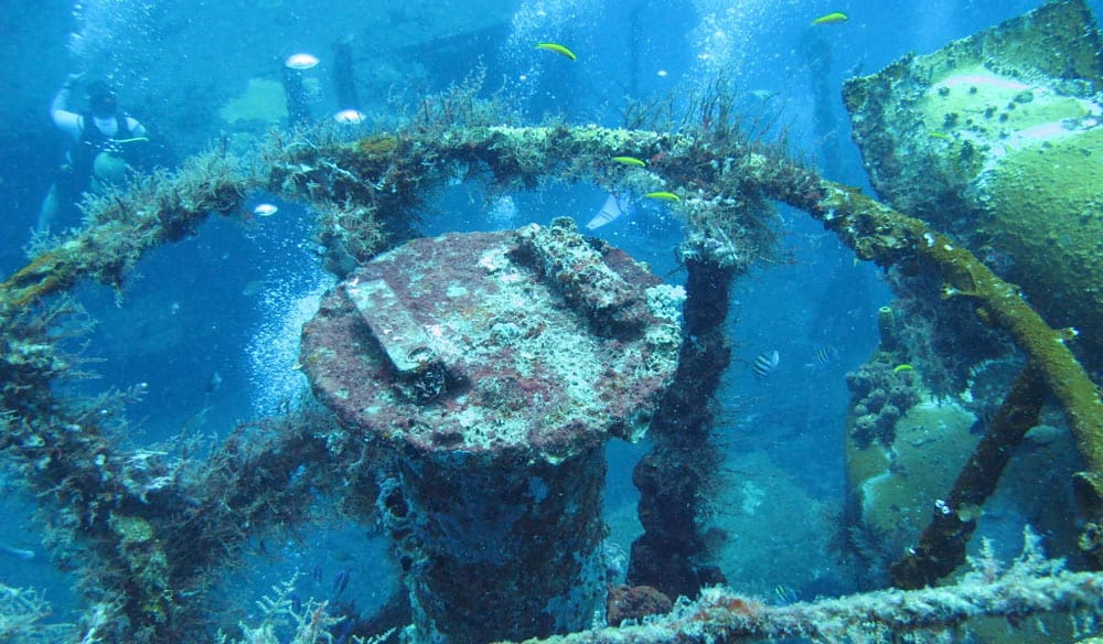 Coral-encrusted wreck structure of the Augustine Fresnel with divers exploring in the background