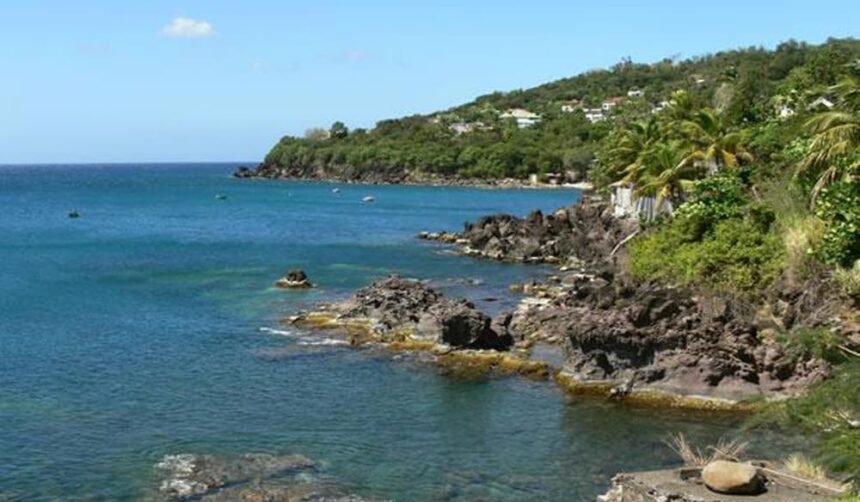 Rocky volcanic shoreline with palms and green hills above calm blue water in Guadeloupe