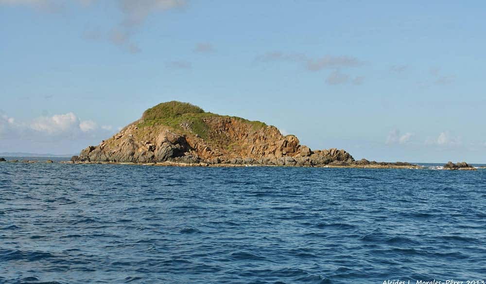 Small green rocky island rising from open blue sea under a partly cloudy sky