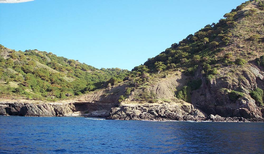 Steep green hillside coastline dropping straight into deep blue water under a clear sky