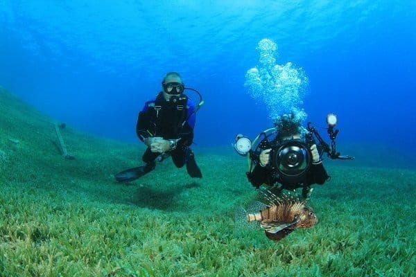 Dive guide watches an underwater photographer shooting a lionfish over seagrass