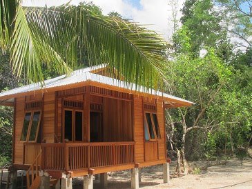Wooden stilt cottage with a tin roof and palm tree at Nomad Divers Bangka resort