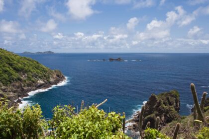 coastal cliffs overlooking the blue Caribbean sea in Tobago