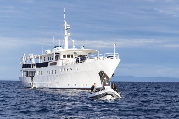 Pelagian liveaboard yacht with a RIB dive tender and guests alongside at sea