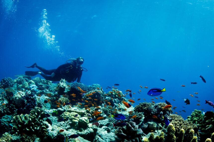 diving in Fiji