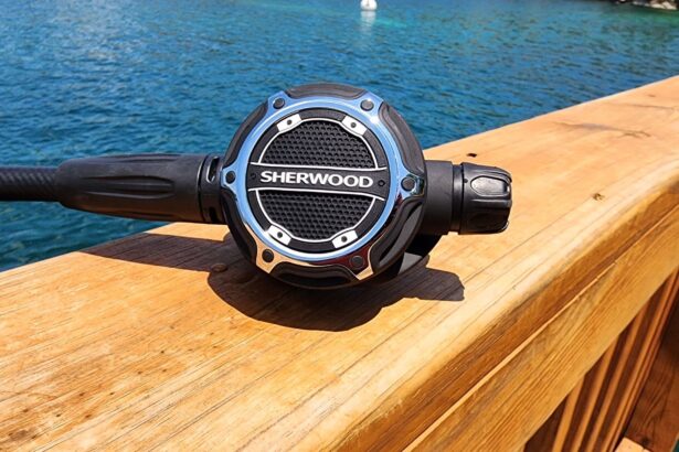 Sherwood SR2 second stage face up on a wooden dock rail with blue water behind