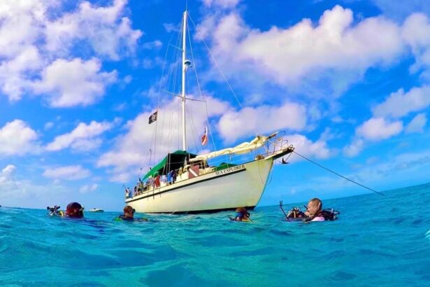 Blackbeard's Sea Explorer