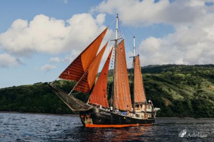 Adelaar phinisi schooner sailing with rust colored sails past green hills