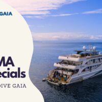 Dive Gaia's Gaia Love liveaboard anchored beside a DEMA Specials promotional banner