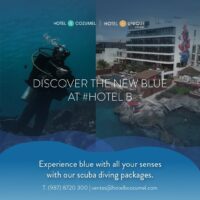 Split promo image of a scuba diver underwater beside Hotel B Unique Cozumel's pool and building