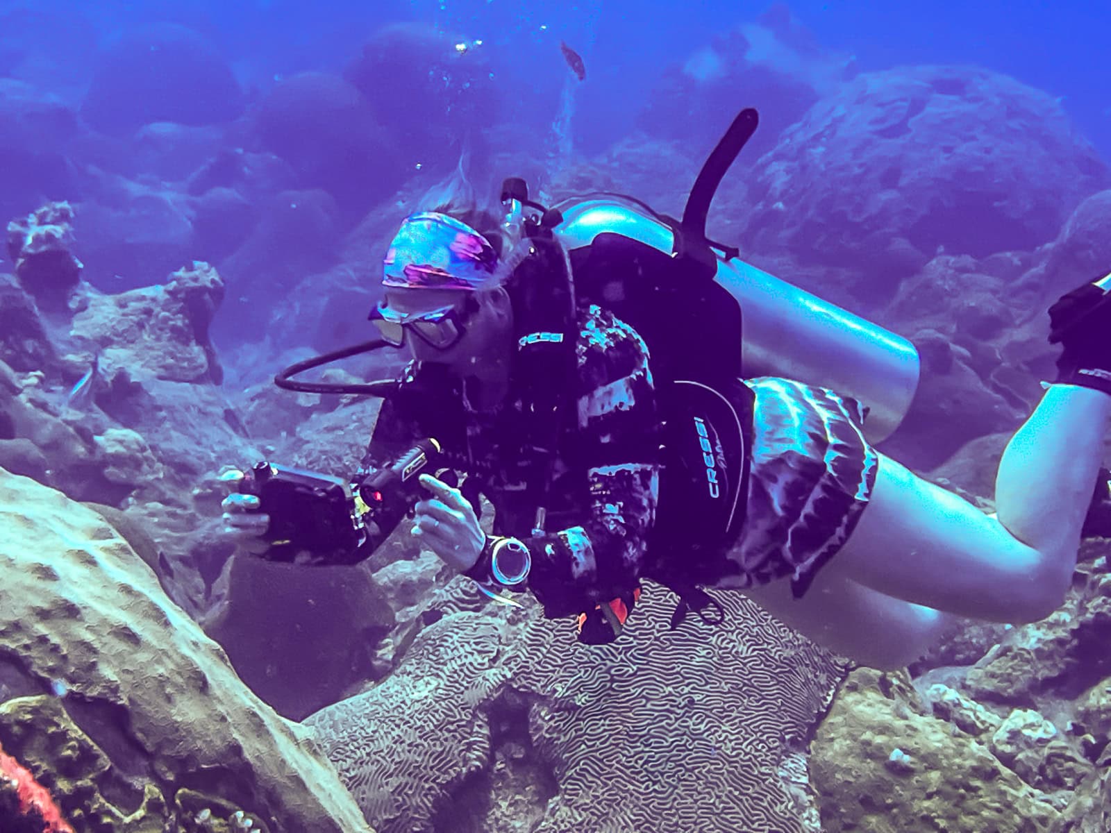 Our tester hovering over brain coral with a camera rig on a warm-water test dive