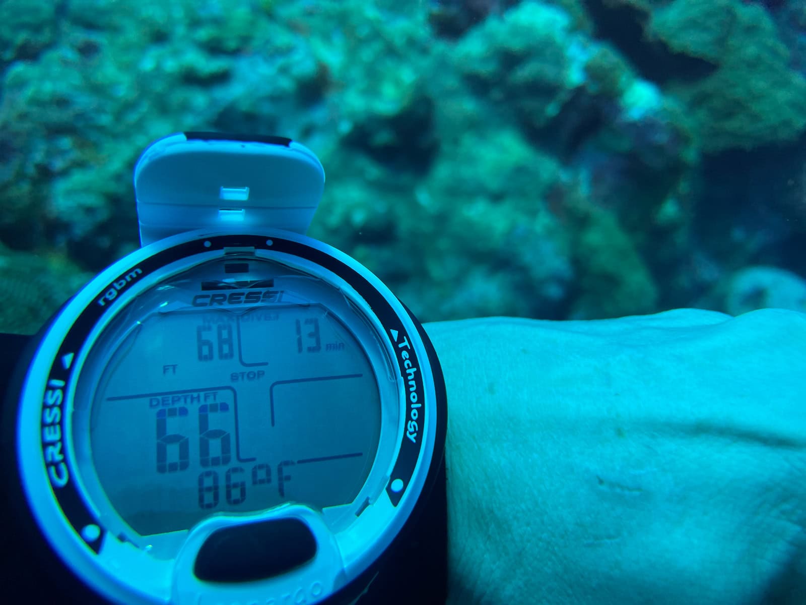 Cressi Leonardo on a wrist underwater showing 66 feet and 86 degrees in front of a reef
