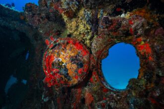 Coral-encrusted porthole and hull details on a sunken shipwreck underwater