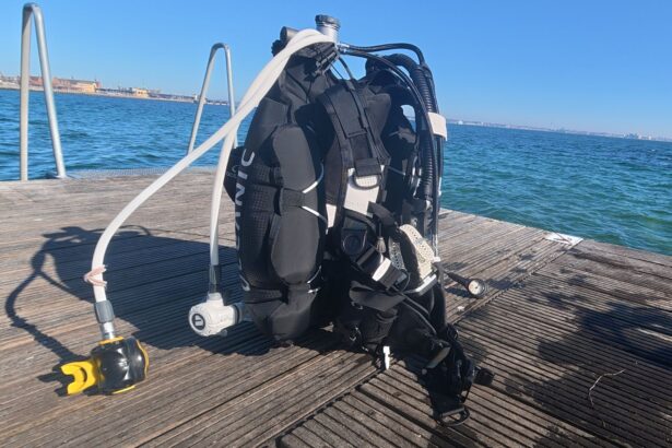 Oceanic Photon Air BCD standing on a wooden dock with the regulator attached