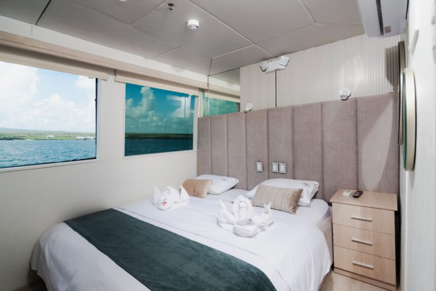 Cabin aboard the Humboldt Explorer with a double bed dressed in towel swans and ocean view windows