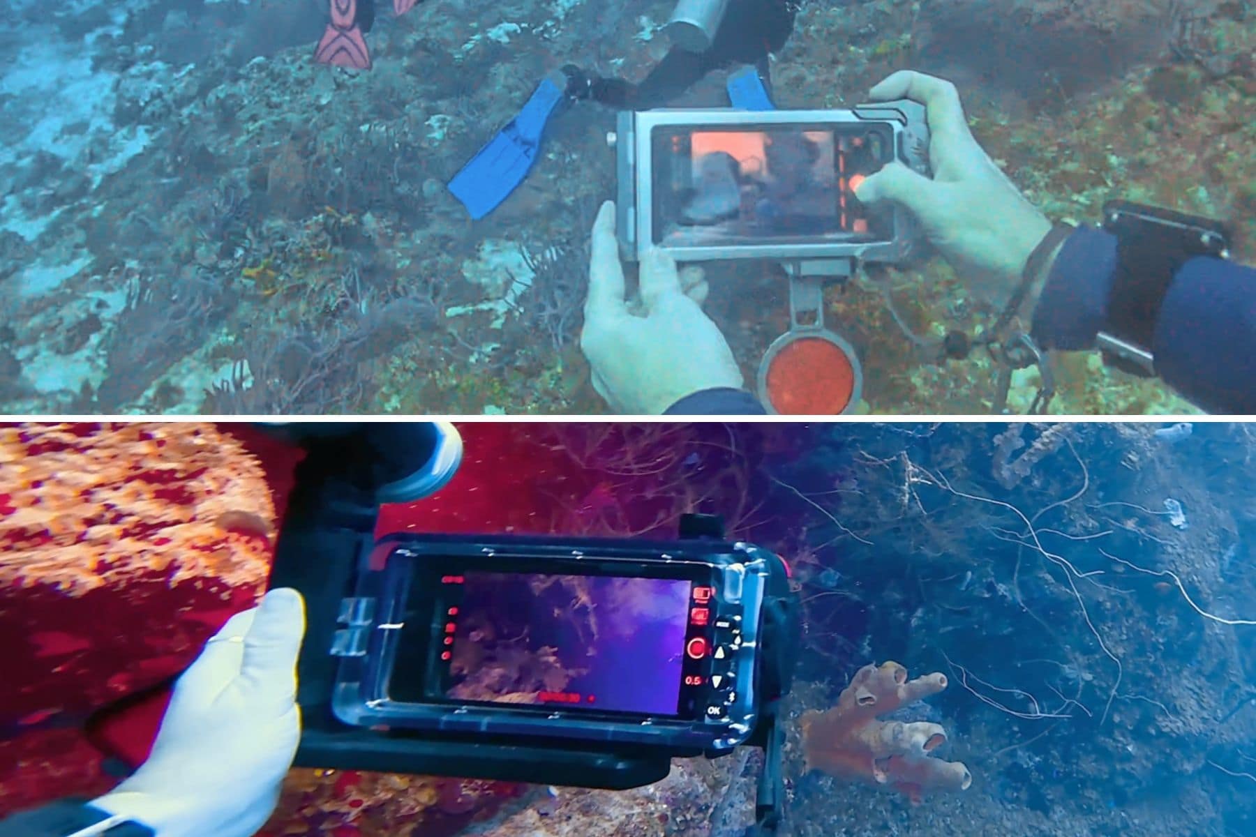 Split view comparing the DIVEVOLK housing above with the SeaLife SportDiver Ultra below on a reef
