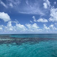Aerial view of the reef and turquoise water surrounding the Great Blue Hole in Belize