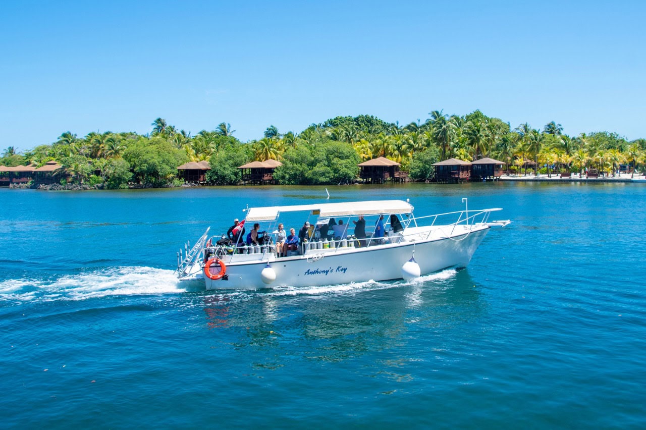 An Anthony's Key dive boat loaded with divers and tanks running past the resort's palm-lined bungalows on Roatan