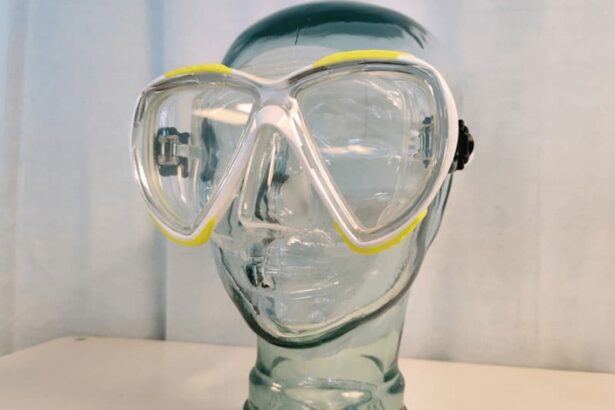 Oceanic Discovery twin-lens dive mask fitted on a glass mannequin head, showing the teardrop lens shape